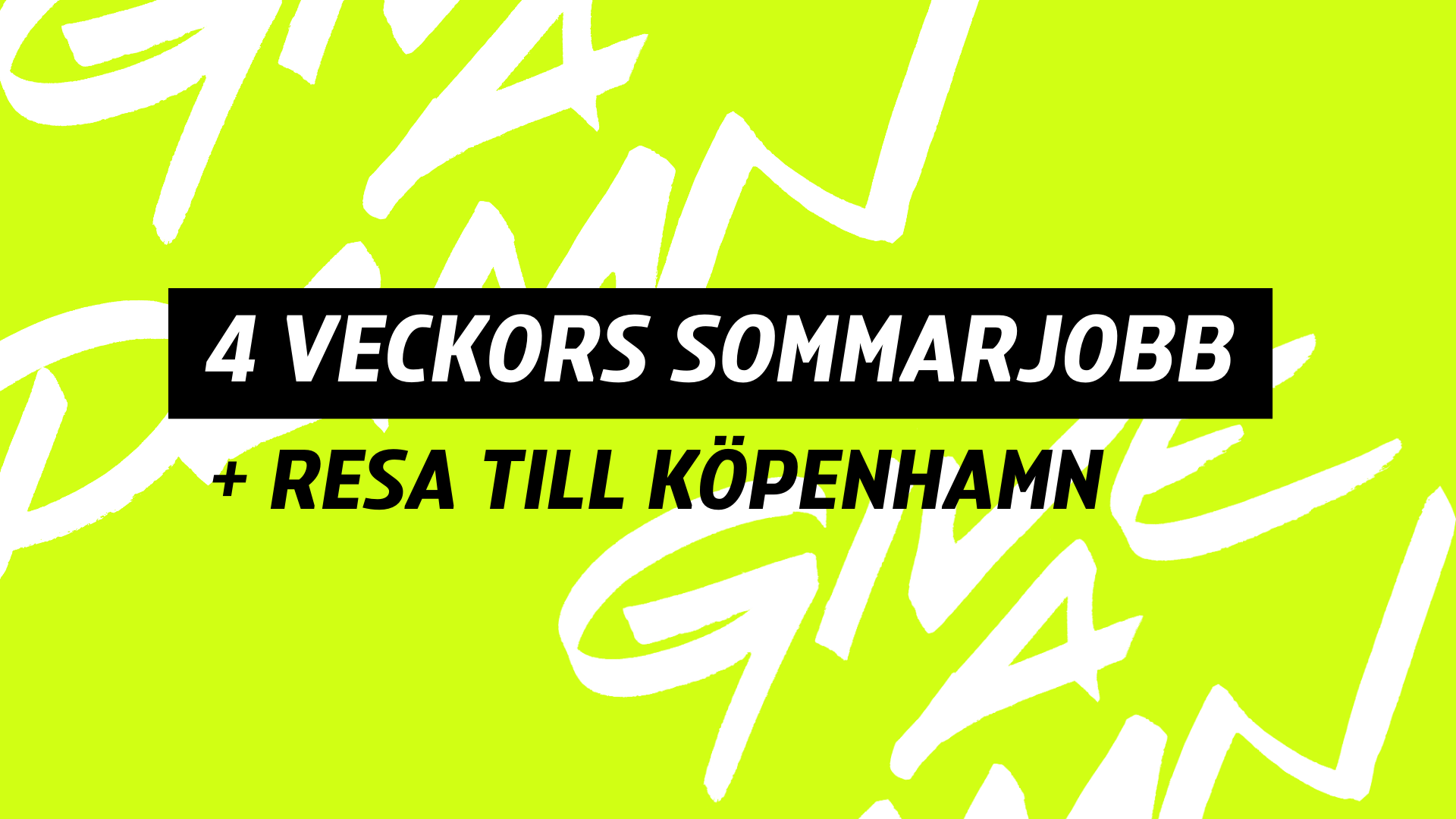 4 veckors sommarjobb och resa till Köpenhamn